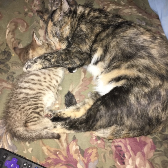 Meet me and maybe shop too! - Picture 6 of 6